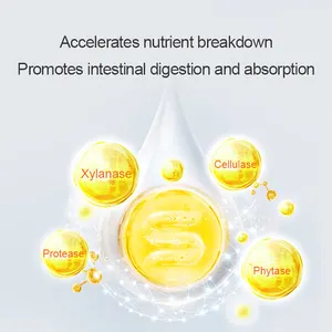 Suplemen probiotik untuk enzim hewan + probiotik tambahan pakan pencernaan alami