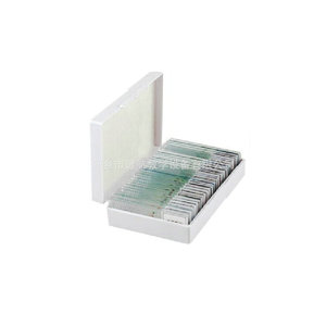In stock: 100-slide <b>microscopic</b> slides in a comprehensive box. - Product Image 2