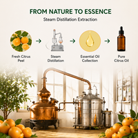 Huile parfumée 100 % pure et naturelle de zeste d'agrumes frais, fournie en gros par l'usine, pour les soins de la peau, la fabrication de bougies et les diffuseurs d'aromathérapie