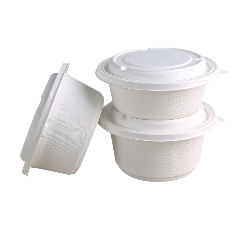 In stock sugarcane tableware bagasse packaging biodegradable disposable salad bowl with lid