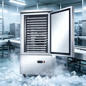 Congelador Horizontal Compacto, <span class=keywords><strong>Mini</strong></span> Congelador Rápido -45-0C, Ahorro de Energía, Ahorra Espacio para Diseño de Cocina de Pequeños Restaurantes - Product Image 5