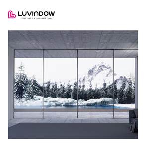 Premium Ultra sottile porta scorrevole con telaio a doppio vetro di sicurezza temperato taglio termico a bassa manutenzione - Product Image 1