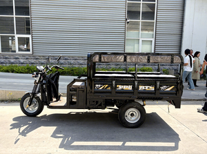 <span class=keywords><strong>Triciclo</strong></span> Eléctrico de Carga y Pasajeros de 3 Ruedas con Caja de Carga Grande con Reja para Uso Familiar y Entrega de Mercancías - Product Image 3
