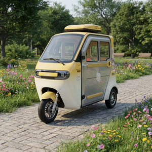 Mini <span class=keywords><strong>Triciclo</strong></span> Eléctrico de 60V 1000W, Vehículo Eléctrico Cerrado, Scooter para Adultos, Vehículo de Movilidad para Personas Mayores, para el Hogar y Desplazamientos Urbanos - Product Image 2