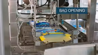 Ensacheuse automatique pour machine de remplissage de sacs de sel granulaire 50 kg, 25 kg, machine d'emballage automatique