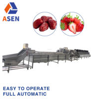 Ligne de lavage industrielle de fruit de fraise d'agrume de bulle d'air et machine à laver végétale