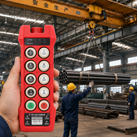 Control Remoto Industrial por Radio de 8 Botones y Una Sola Velocidad a Precio de Fábrica para Polipastos Eléctricos y Sistemas de Grúas Puente