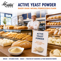Levain sec actif de qualité alimentaire à faible humidité, excellent effet de levaison pour les produits à base de pâte de blé fermentée