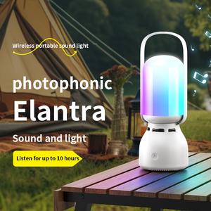 Multi Functional <b>Speaker</b> with RGB Lighting for Home Party Outdoor Camping Lighting <b>Speaker</b> in One Machine - Product Image 3