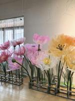 Fiori di Papavero Colorati SFD a Prezzo di Fabbrica con Supporto per Decorazione Interna ed Esterna, Vetrine, Fiori Artificiali