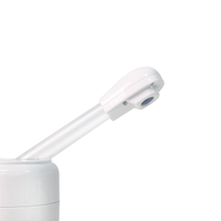 Appareil de vapeur pour le visage DT-03, pas cher, pour usage domestique, mini appareil de vapeur chaud portable, prix d'usine, appareil de vapeur pour le visage avec ozone