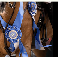 Ruban en satin personnalisé avec logo, accessoires pour récompenses, fleur en ruban, badge, remise de diplômes, jeux sportifs, courses d'animaux