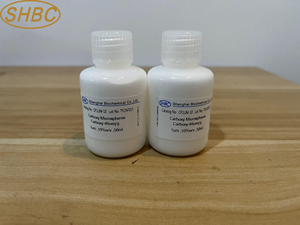 ไมโครสเฟียร์กลุ่มคาร์บอกซิล ที่มีการกระจายตัวดีเยี่ยมสำหรับการวิจัยในห้องปฏิบัติการและการตรวจวินิจฉัย - Product Image 5