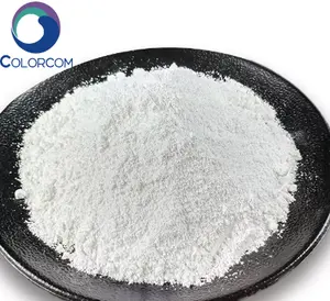 Pigment White 6 Titanium Dioxide CAS 13463-67-7 Good quality PW 6