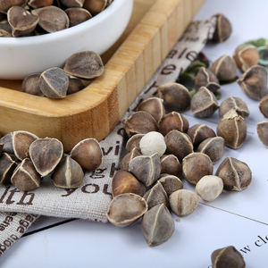 Alta qualidade natura loleifera secos compradores a granel preço moringa sementes para venda - Product Image 5