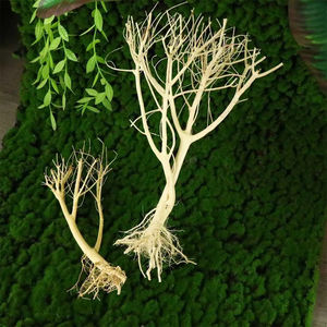 Stevige Duurzame Boomtak Gemakkelijk Schoon Te Maken <span class=keywords><strong>Diy</strong></span> <span class=keywords><strong>Aquarium</strong></span> Mos Tree Hoge Kwaliteit <span class=keywords><strong>Aquarium</strong></span> Drijfhout - Product Image 4