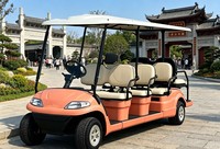 Carrito de Golf Eléctrico de 8 Asientos A617.6+2, Diseño Actualizable