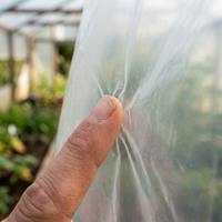 Rouleau de film plastique agricole personnalisé pour serre tunnel