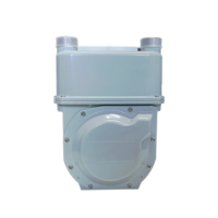 Meter Gas Prabayar dengan Layar LED STS, Keypad, dan Tampilan Arah Aliran, Berbahan Plastik-Baja Anti Karat, Garansi 2 Tahun, RF IP68, Akurasi 1%