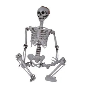 5Ft Plastic Articulated Halloween Human Movable Mr Bones Skeleton For Home Decoration