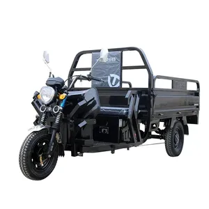 Трехколесный трехколесный грузовой Электрический трехколесный велосипед с батарейным питанием, 60 В, 2 места, Электрический трехколесный велосипед для взрослых
