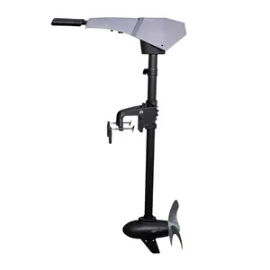 Propulsion New Outboard Mount Marine Bow Waterproof Dc Electric Brushless 12v 24v 48v Boat Motor