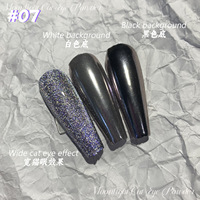 Kosmetik qualität Universal Silber Weiß Kristall Treibsand Optisches Nagel pulver Magic Multi color Cat Lidschatten pigmente Feines Pulver