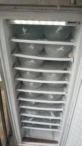 198L AC/DC Hybrid 24V/220V Upright Freezer 11layers/7 <strong>Layers</strong> Commercial Solar Panel Gel Battery Powered Solar Ice Block <strong>Machine</strong> - Product Image 2