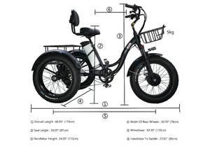 Triciclo Eléctrico Ligero y Portátil para Desplazamientos Diarios y Entrega de Carga - Product Image 5