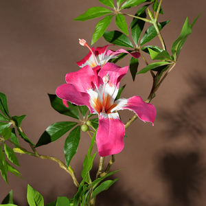 Plantes artificielles en plastique écologique, <span class=keywords><strong>jasmin</strong></span> pleureur, couleur verte, en <span class=keywords><strong>pot</strong></span>, grande plante, décoration d'intérieur, Noël, remise de diplôme - Product Image 2