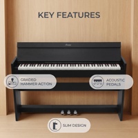 Orgue électrique Beisite S-190, clavier électronique numérique 88 touches, poids standard, batterie rechargeable intégrée, haut-parleur intégré