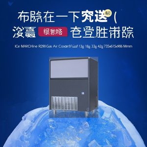 Máquina de Hielo R290 Refrigerada por Aire, Cubos de Hielo Completos de 13g, 18g, 33g, 42g, 735x615x906 mm - Product Image 2