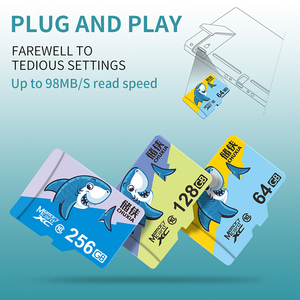 <span class=keywords><strong>Mini</strong></span> tarjeta Flash TF 32GB 64GB 128GB 256GB 512 <span class=keywords><strong>GB</strong></span> C10 <span class=keywords><strong>GB</strong></span> U3 A1 V30 velocidad <span class=keywords><strong>Mini</strong></span> tarjeta de memoria <span class=keywords><strong>SD</strong></span> para Drones deportivos cámaras DVR - Product Image 5