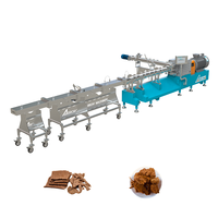 Extrudeuse de protéines de soja, machine à protéines végétales texturées pour la production de TVP dans une usine de viande végétale