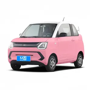 2022 Dfsk Fengguang MINIEV中国の新エネルギー小型電気自動車2ドアキャンディーロリポップ自動車フェンコンモデル