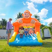 Airmyfun kabarık kale ev kullanımı slayt 4 kişi kapasiteli 300x215x255cm ile şişme sıçrama ev