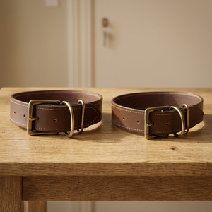 Collier pour chien en cuir Elite Companion avec finition artisanale |   Divine International - Product Image 1