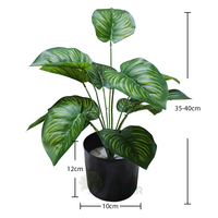 Mini plantes artificielles en pot Calathea mazoyana plantes artificielles avec Pots en plastique décoration de la maison
