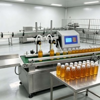 Machine de remplissage de bouteilles d'eau semi-automatique à 4 buses pour bande transporteuse huile boisson liquide Sauce soja à vendre