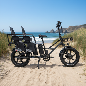 Vélo électrique de livraison à pneus larges personnalisé 48V 15Ah 20Ah avec double batterie et sièges pour bébés - Product Image 4