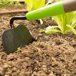 Herramientas de Jardinería de Alta Calidad con Logotipo Personalizado, Azada Forjada para Desherbar con Mango de Madera - Product Image 4