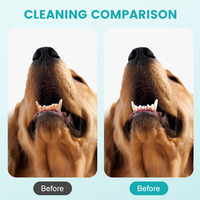 Toallitas Dentales para Mascotas de Marca Privada OEM, 50 Unidades en Envase, Toallitas Húmedas para Limpieza Dental de Perros y Gatos, Sin Alcohol, Cuidado Bucal