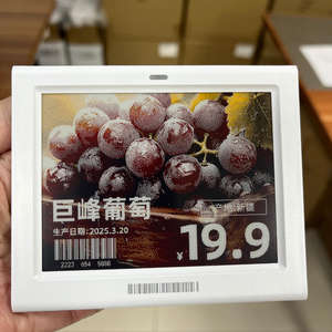 Kit de demostración inalámbrico ESL para almacén en el Reino Unido, etiqueta electrónica de precio con tinta electrónica, sistema de integración API de software seguro. - Product Image 1