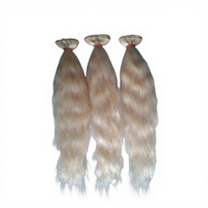 Extensions de cheveux vierges indiennes Remy, blond 613, double trame - Product Image 1