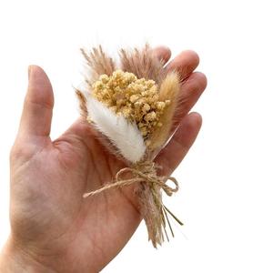 Mini Ramo de <span class=keywords><strong>Flores</strong></span> Secas Transfronterizo de China, Regalo Festivo, Decoración, <span class=keywords><strong>Flores</strong></span> <span class=keywords><strong>Preservadas</strong></span>, Recuerdo, Pequeño <span class=keywords><strong>Ramillete</strong></span> en Caja, Modelo 9698 - Product Image 5