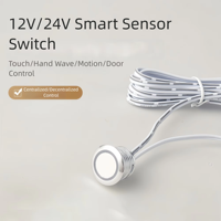 Sakelar Sensor Tombol Sentuh Pintar DC12V 24V 5A untuk Engsel Kabinet, Dimmer Kapasitif untuk Lampu Kabinet dan Lampu LED Strip