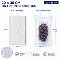 Bolsa Protectora Inflable Resistente y Robusta para Envíos Internacionales de Larga Distancia, Calidad Confiable, Proveedor de Confianza