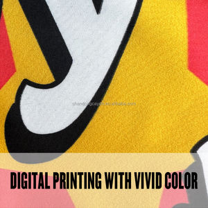 Miglior prezzo consegna veloce all'ingrosso personalizzato all'aperto volanti promozionali pubblicità nazionale bandiera di tutto il paese - Product Image 4