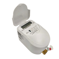Compteur d'eau ultrasonique prépayé en laiton avec connectivité LoRaWAN - Protection IP68, personnalisable OEM, autonomie de la batterie au lithium de 10 ans
