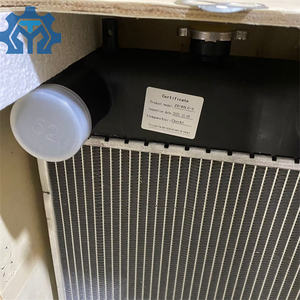 Радиатор водяного охлаждения ZAX120-3 ZAX110-3 4668378 4655206 Y238100002 301429 307757 - Product Image 3